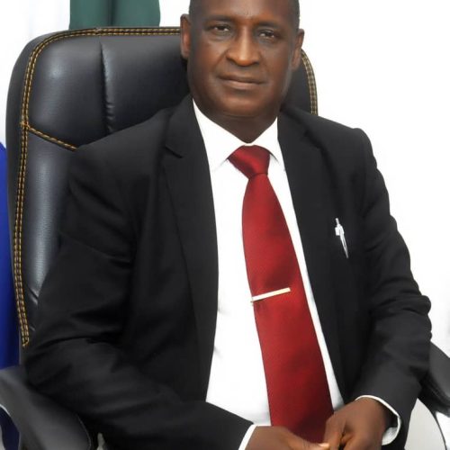 <b>ESV. Eno Obongha<b>
AHCN President